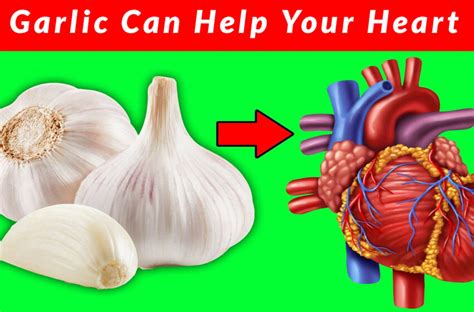 para que sirve garlic heart care|5 ways garlic is good for your heart health .
